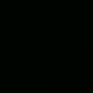 Meet your Posher, Zoey